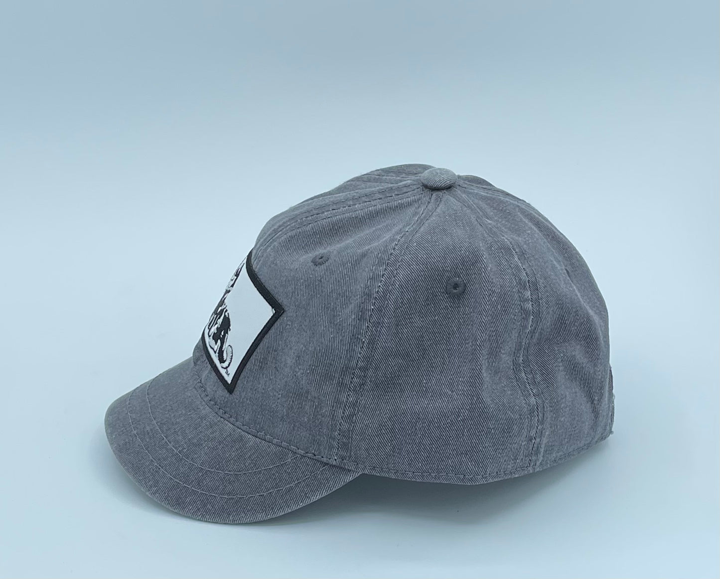 Short brim cap