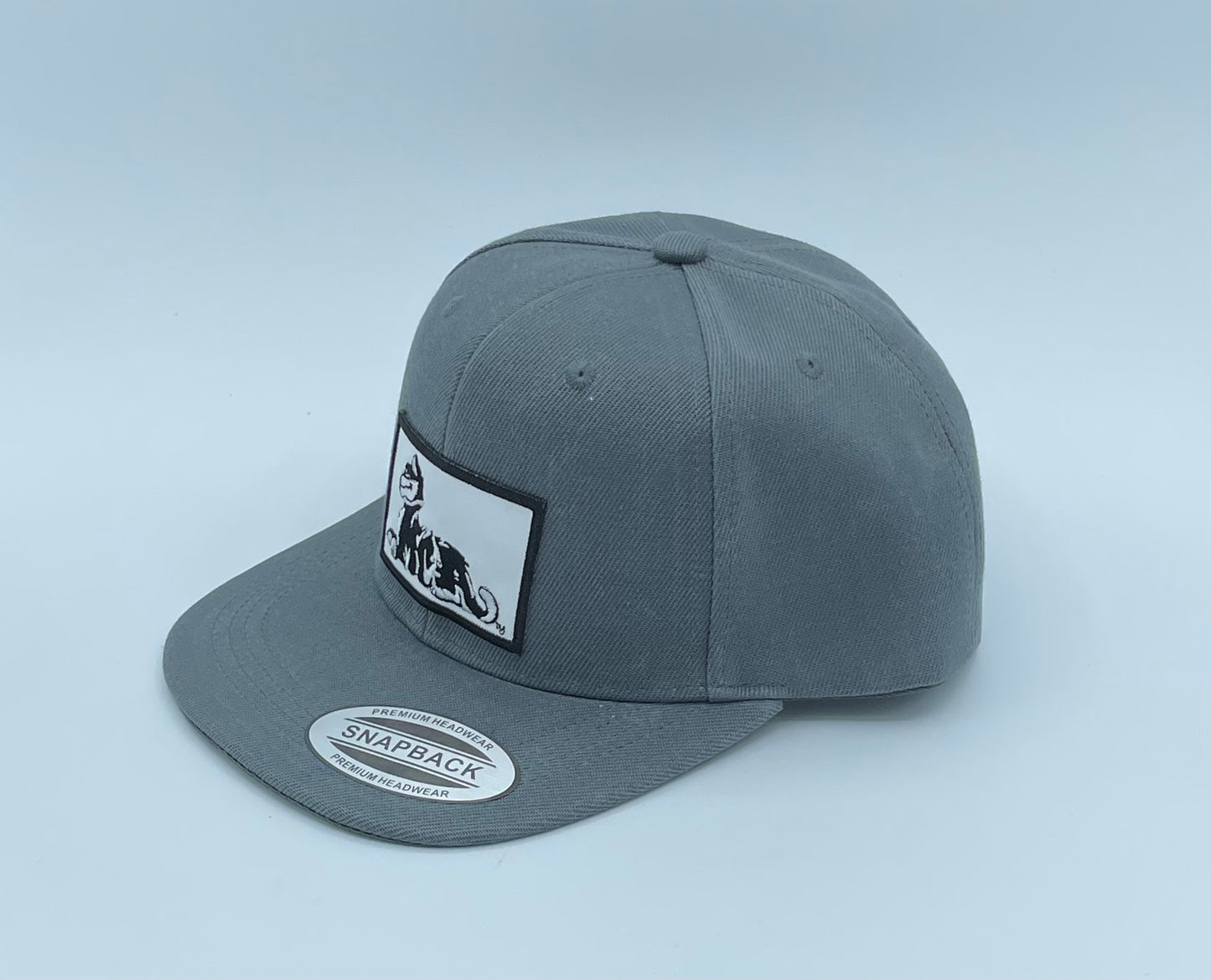 Snap Backs